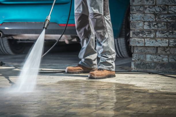 Best Driveway Pressure Washing  in Tangerine, FL