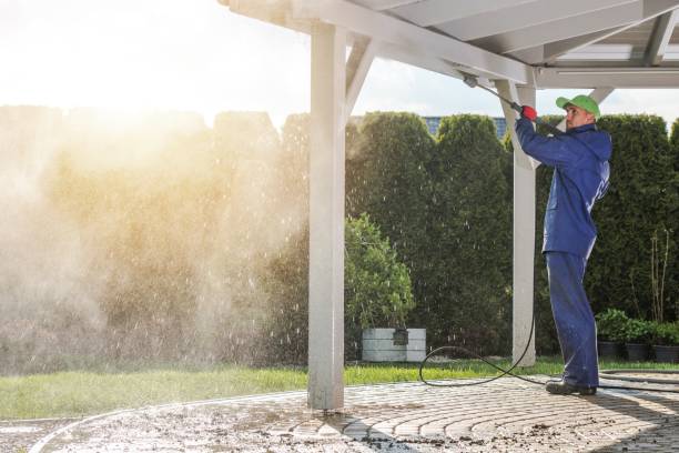 Best Fence Cleaning  in Tangerine, FL