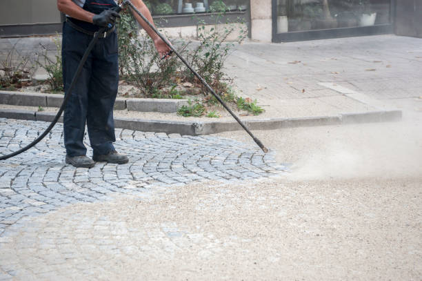 Best Animal Enclosure Cleaning  in Tangerine, FL